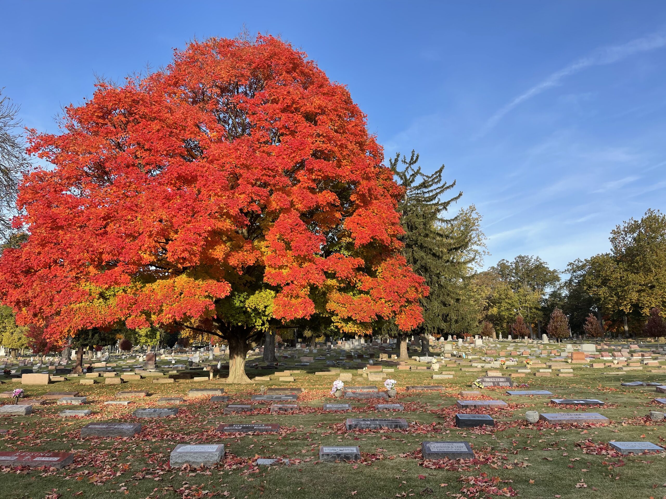 Catholic Cemetery